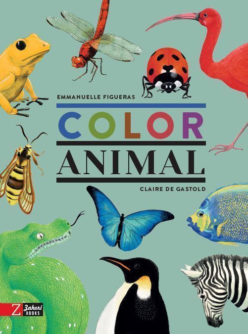 Primera imagen de Color Animal - Zahorí de ideas