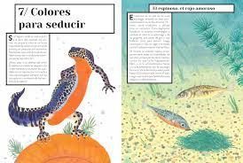 Segunda imagen de Color Animal - Zahorí de ideas