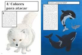 Tercera imagen de Color Animal - Zahorí de ideas
