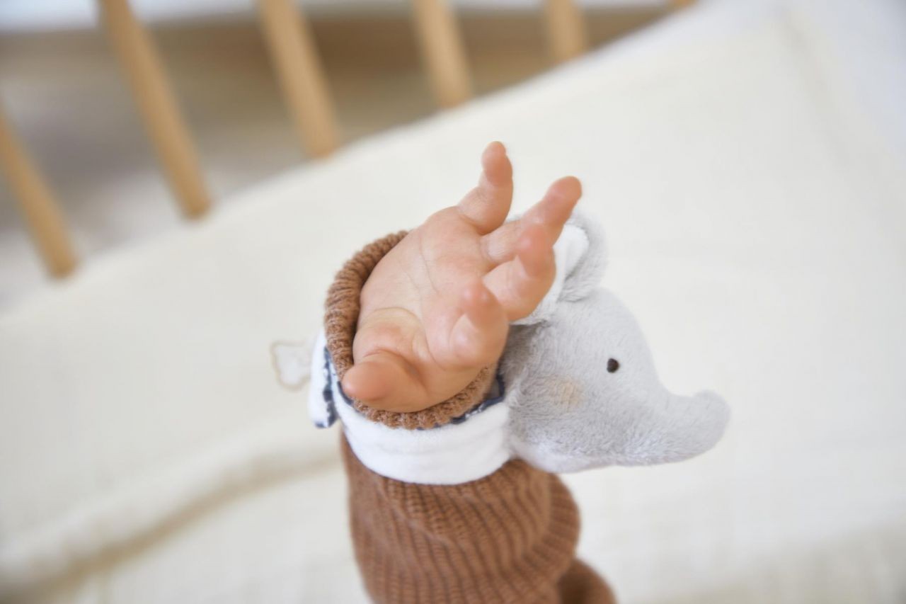 Pulsera y Patucos con sonidos elefante - Kaloo - Imagen 8