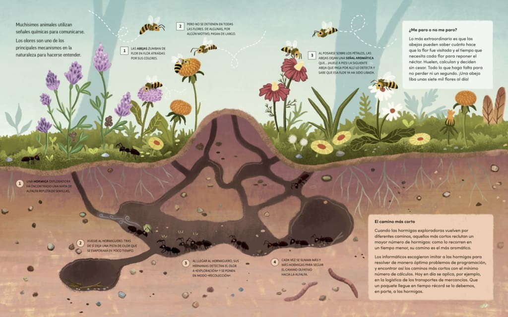 Plantas que hablan, animales que cantan - Imagen 3